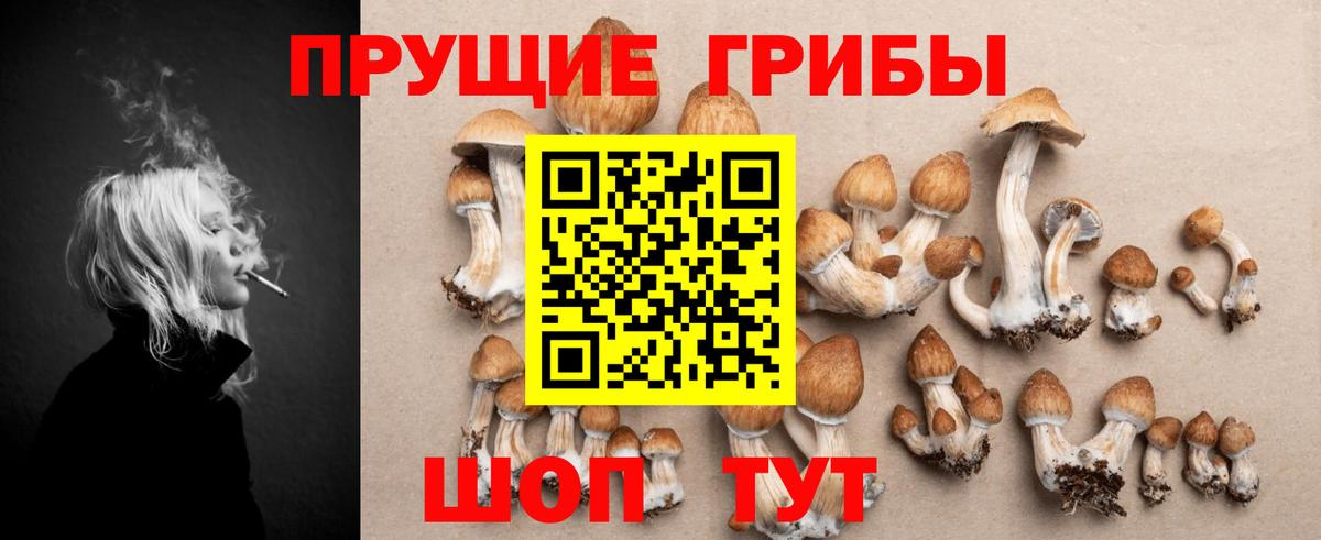 Псилоцибиновые грибы мицелий  Вход с VPN  Галлюциногенные грибы Cubensis  Ростов Великий 